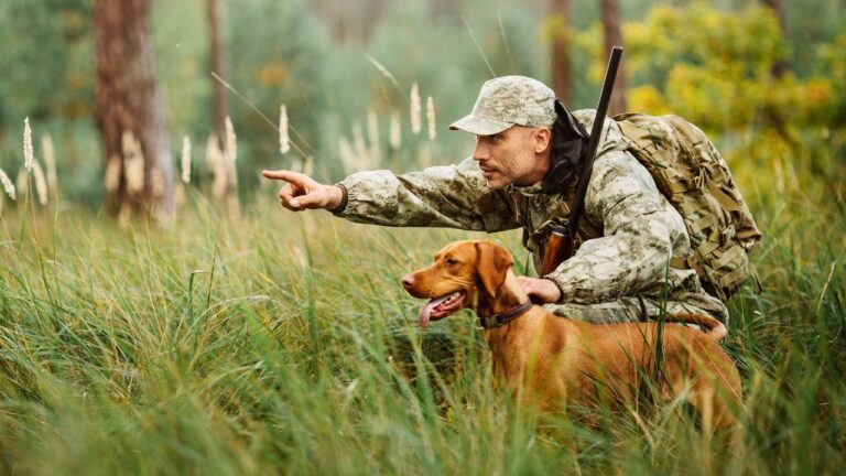 10 of the best dog breeds for hunting