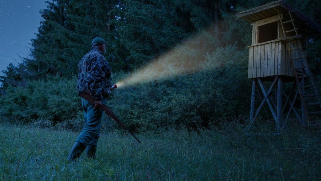 This image has an empty alt attribute; its file name is hunter-flashlight-rifle-1024x576.jpg