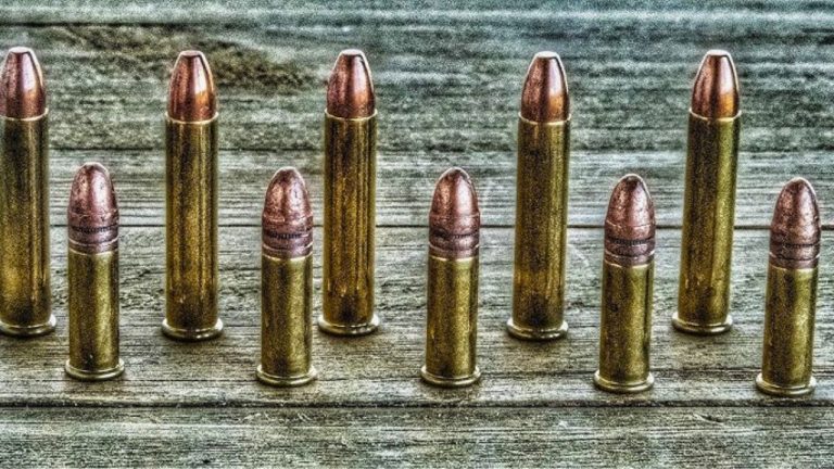 Calibers that most shooters can handle