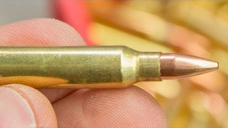 Why the .223 isn’t going anywhere—despite the haters