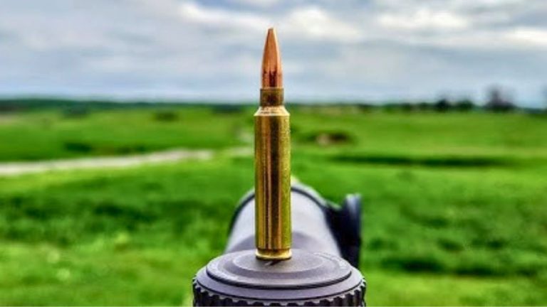 The best calibers for predator hunting near buildings