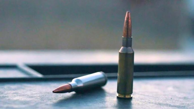 The Most Overhyped Hunting Rounds of the Decade