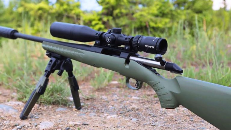 Rifles that disappoint most owners