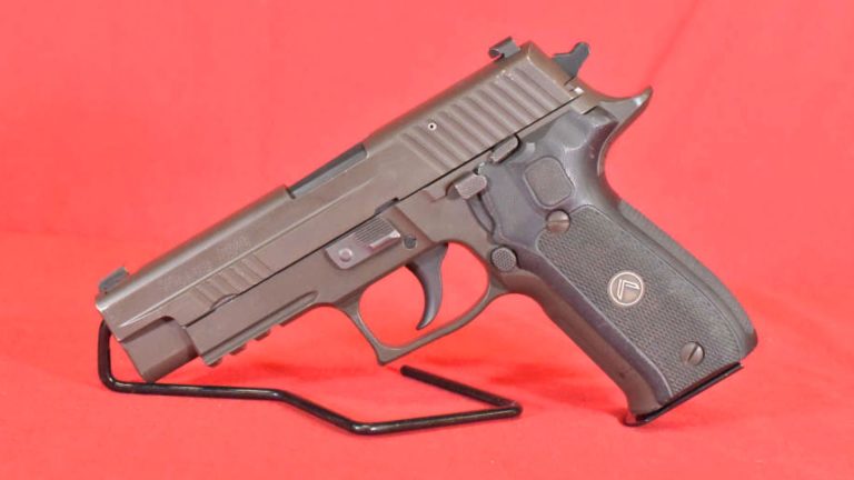 Guns that hold up to regular use