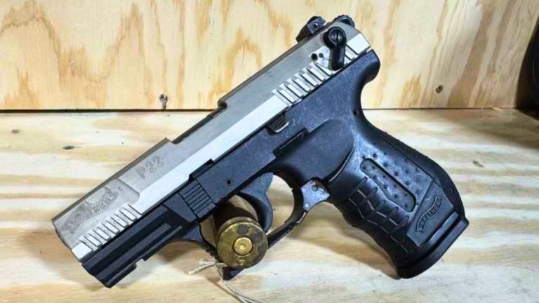 Handguns That Feel Reliable Until Winter Hits