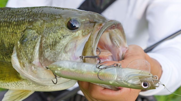 Bass fishing habits that quietly kill success