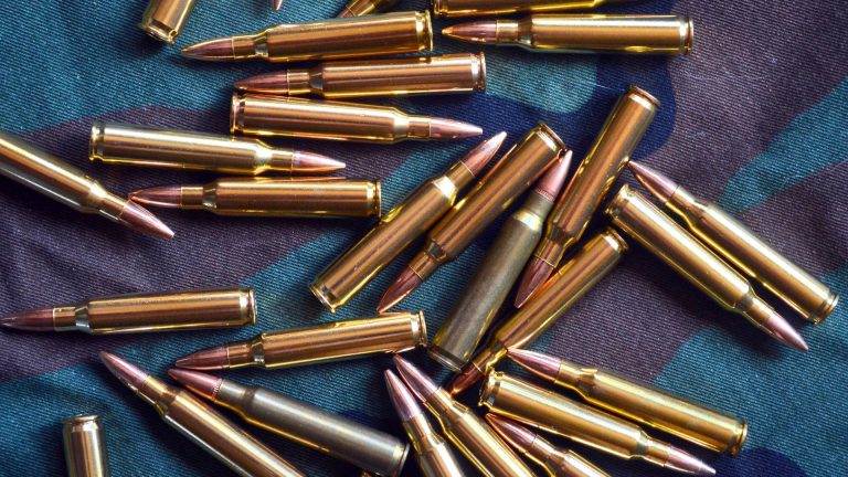 Calibers that hunters defend but rarely recommend