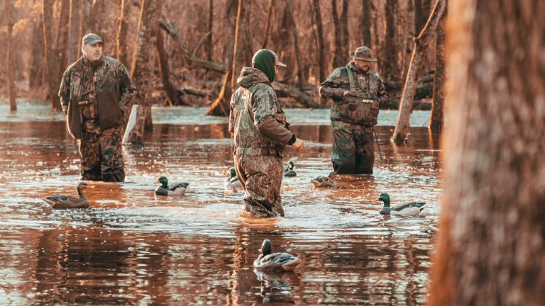 aaronjamesmedia_co/Unsplash