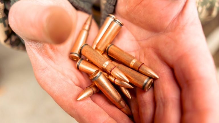 The Worst Calibers for Backcountry Hunts