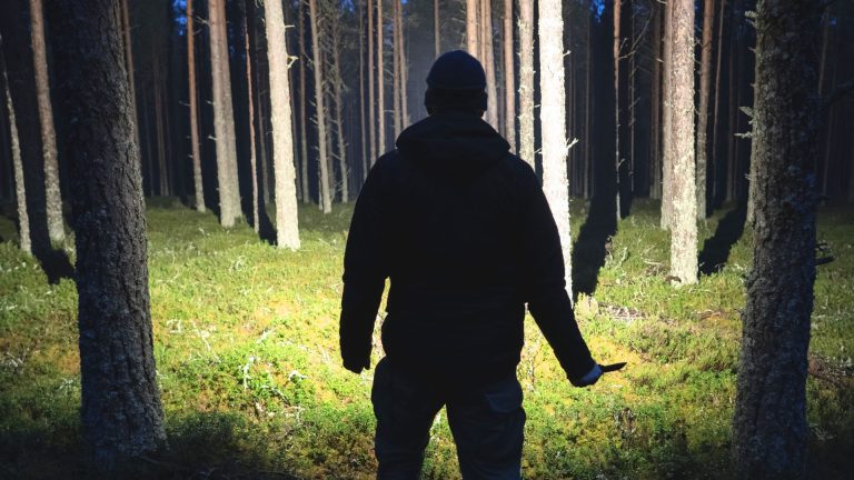 Flashlights That Actually Light Up the Blood Trail