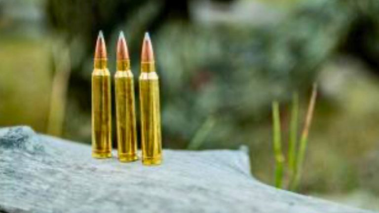 Calibers that still make sense today