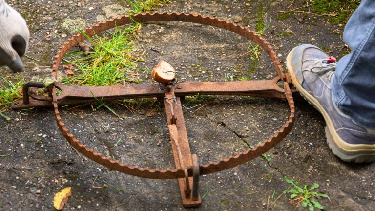 Trapping tools that hold up through long seasons