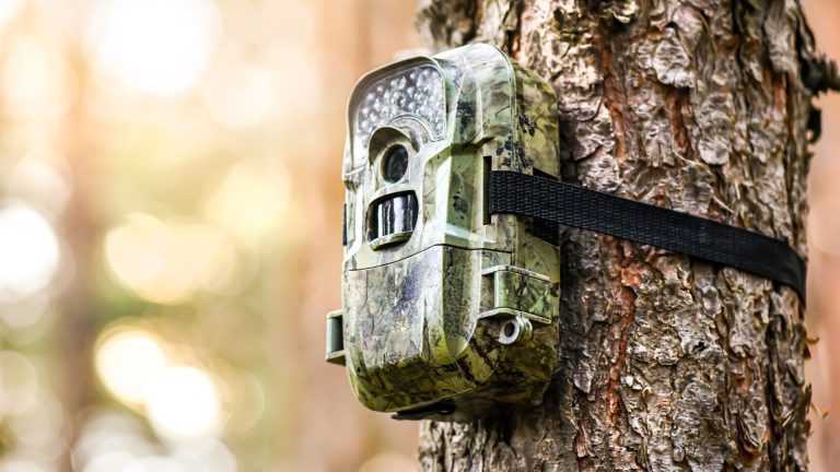 Trail Cameras That Still Work After Two Winters Outside