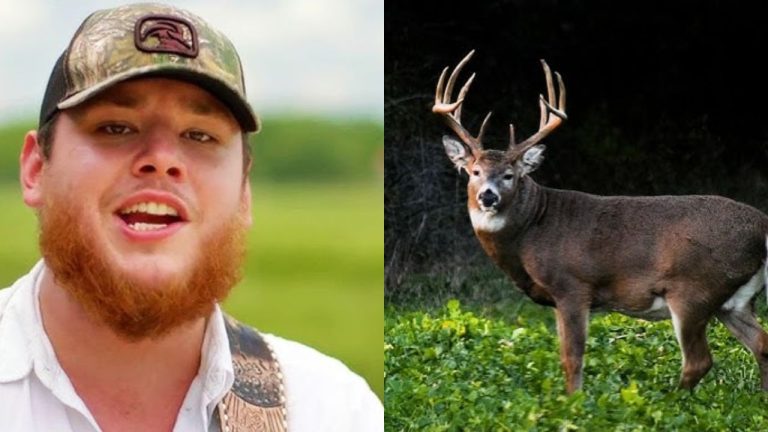 Celebrities who quietly take hunting season seriously