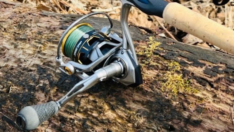 Rod and reel combos that fight the angler