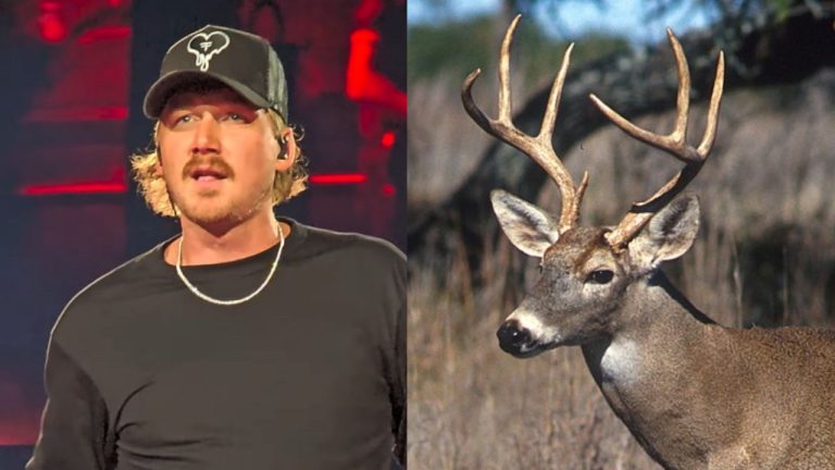 Morgan Wallen tags an 8-point Iowa whitetail to close out deer season