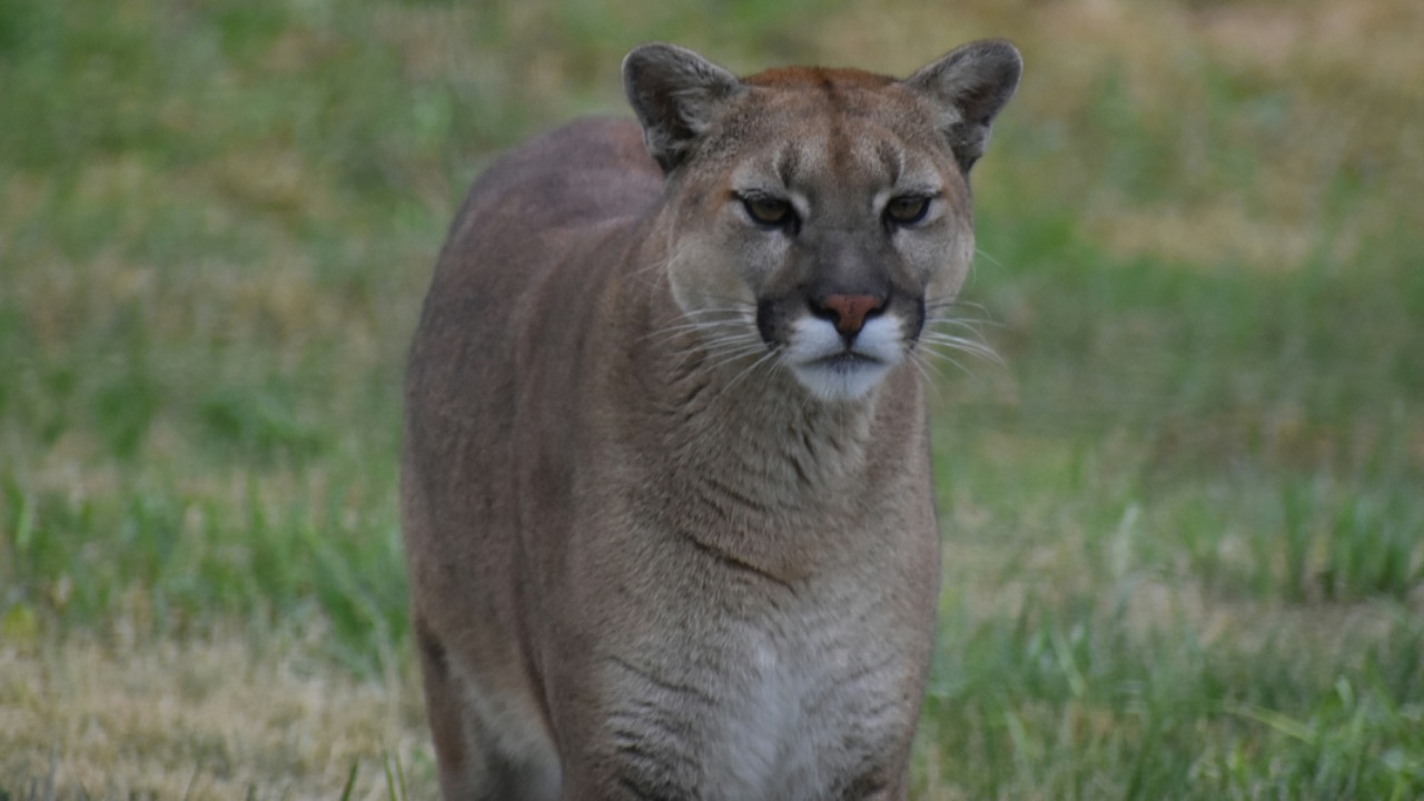 laurenlopes/Unsplash