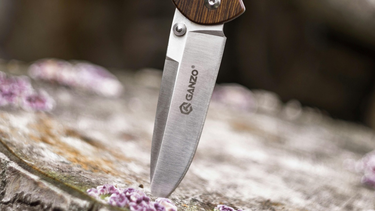 MYKOLA OSMACHKO/Pexels