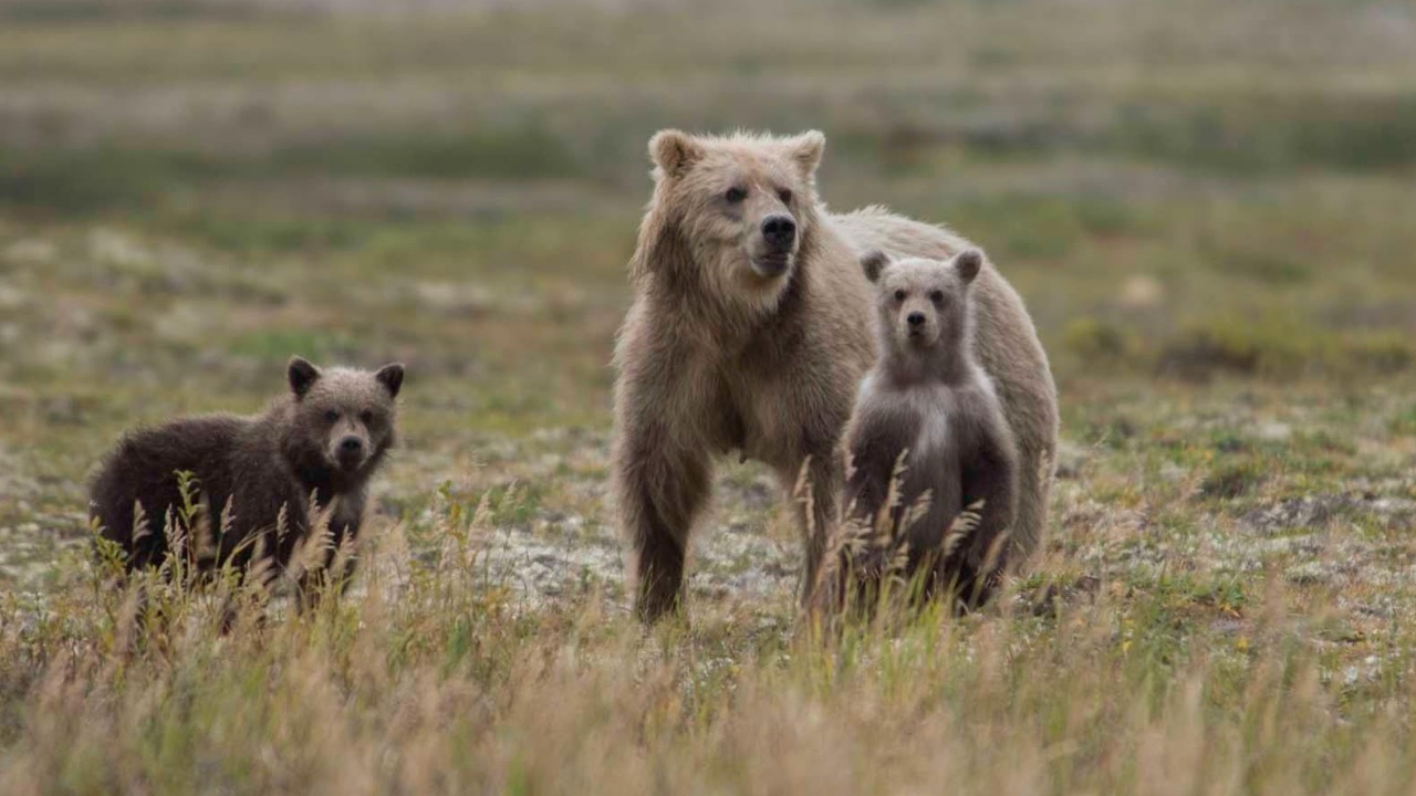 Marcel Biegger/Pexels