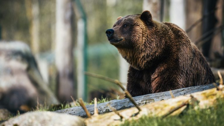 itfeelslikefilm/Unsplash