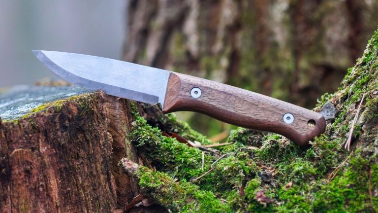 Taras Vykhopen/Shutterstock.com