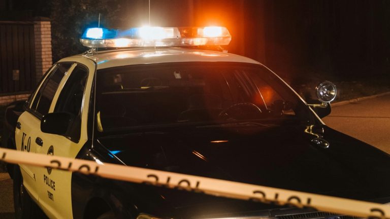 cottonbro studio/Pexels