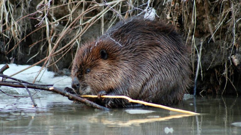 lighthorseimage/Unsplash