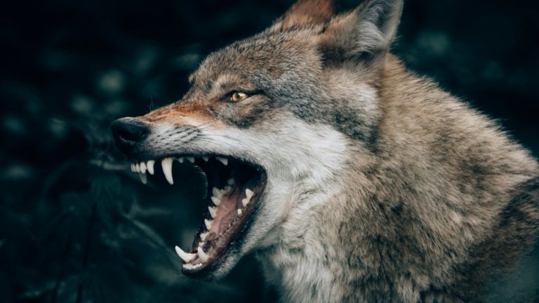 buchstabenhausen/Unsplash