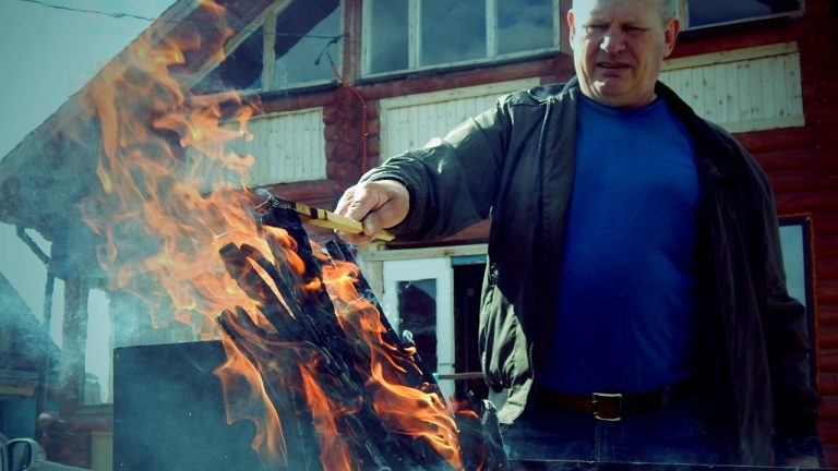 Wild_Dog_Dingo /^ •̀ᴥ•́ ^/Pexels