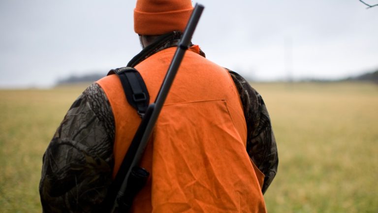 mattmaaskant/Unsplash