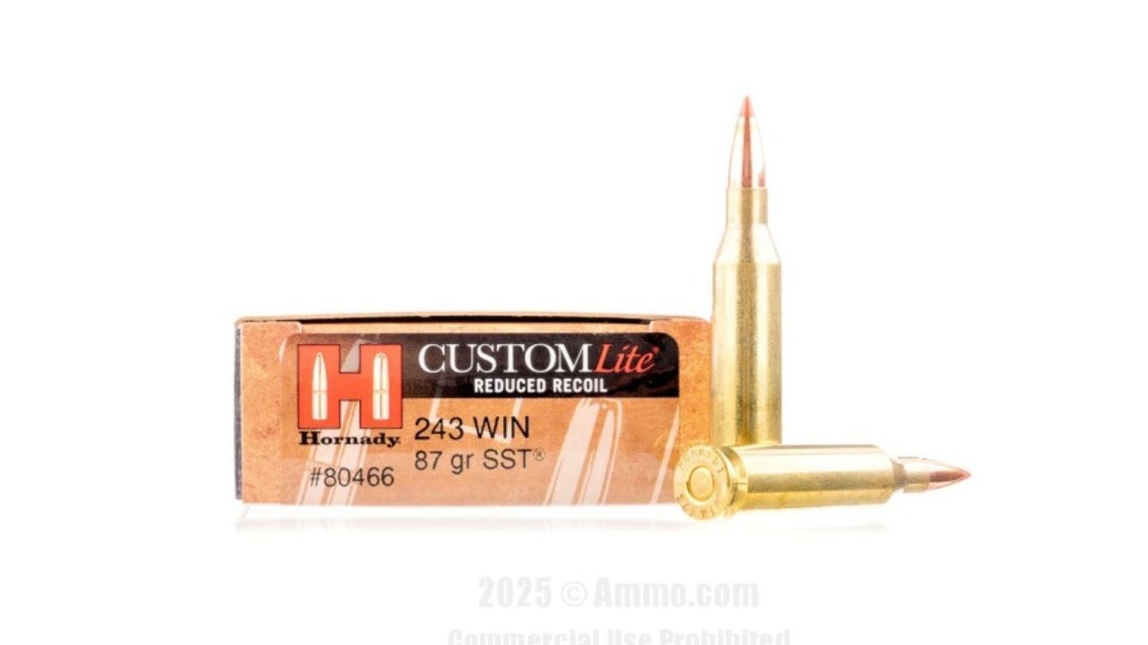 Ammo.com
