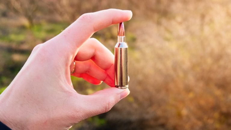 Xavi Martin/Shutterstock.com