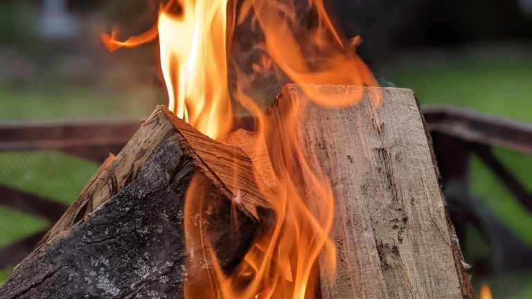 Christopher P/Pexels