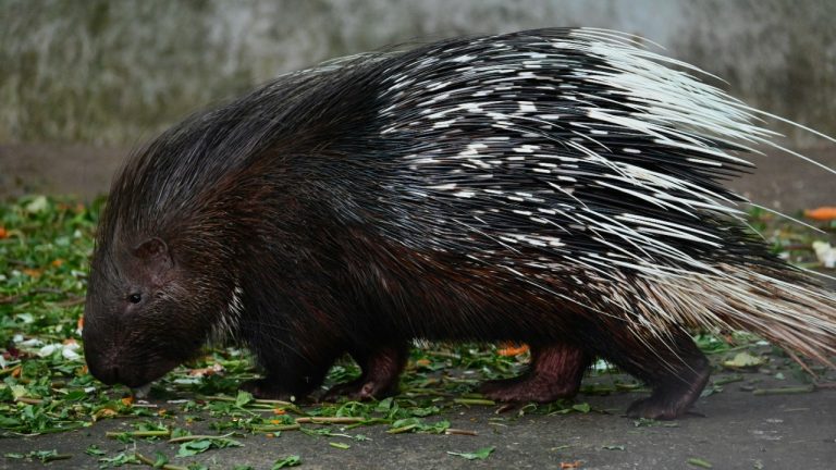 praswinprakashan/Unsplash