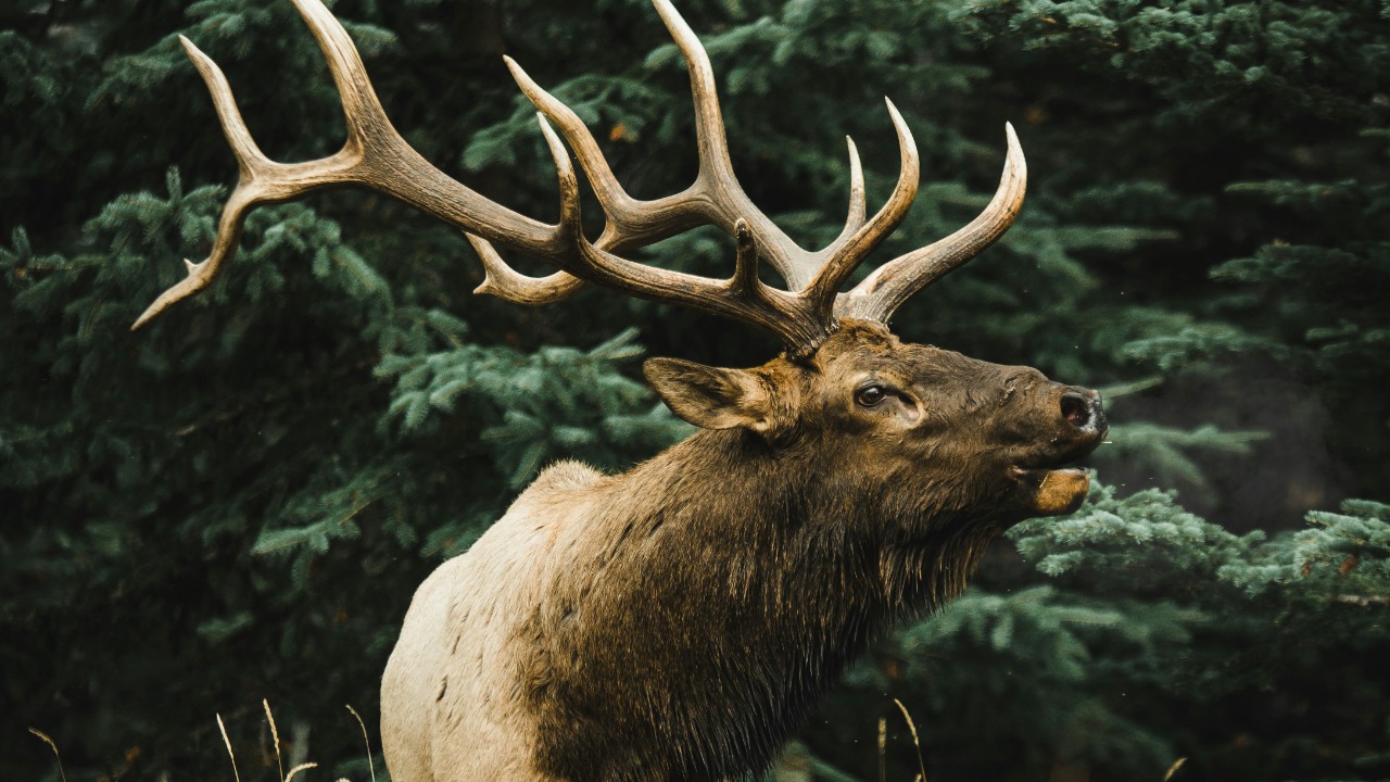 nineteen/Unsplash