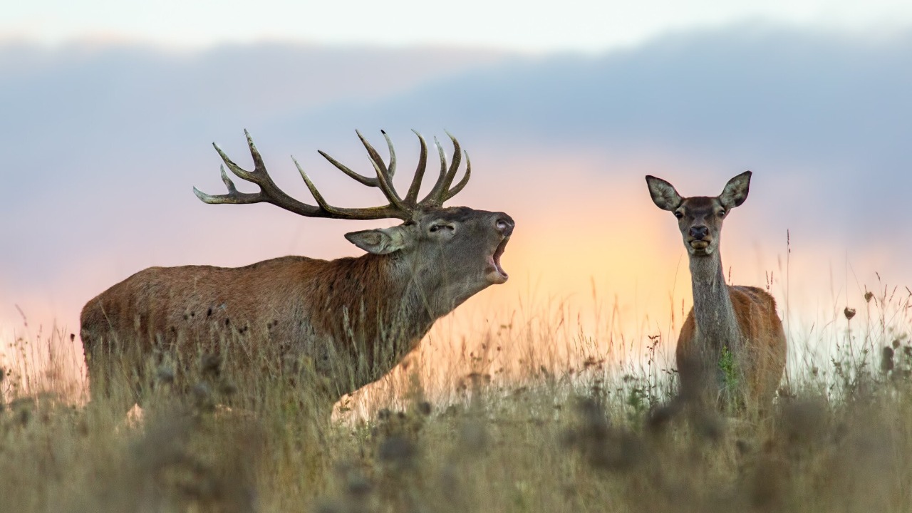 Image by Freepik