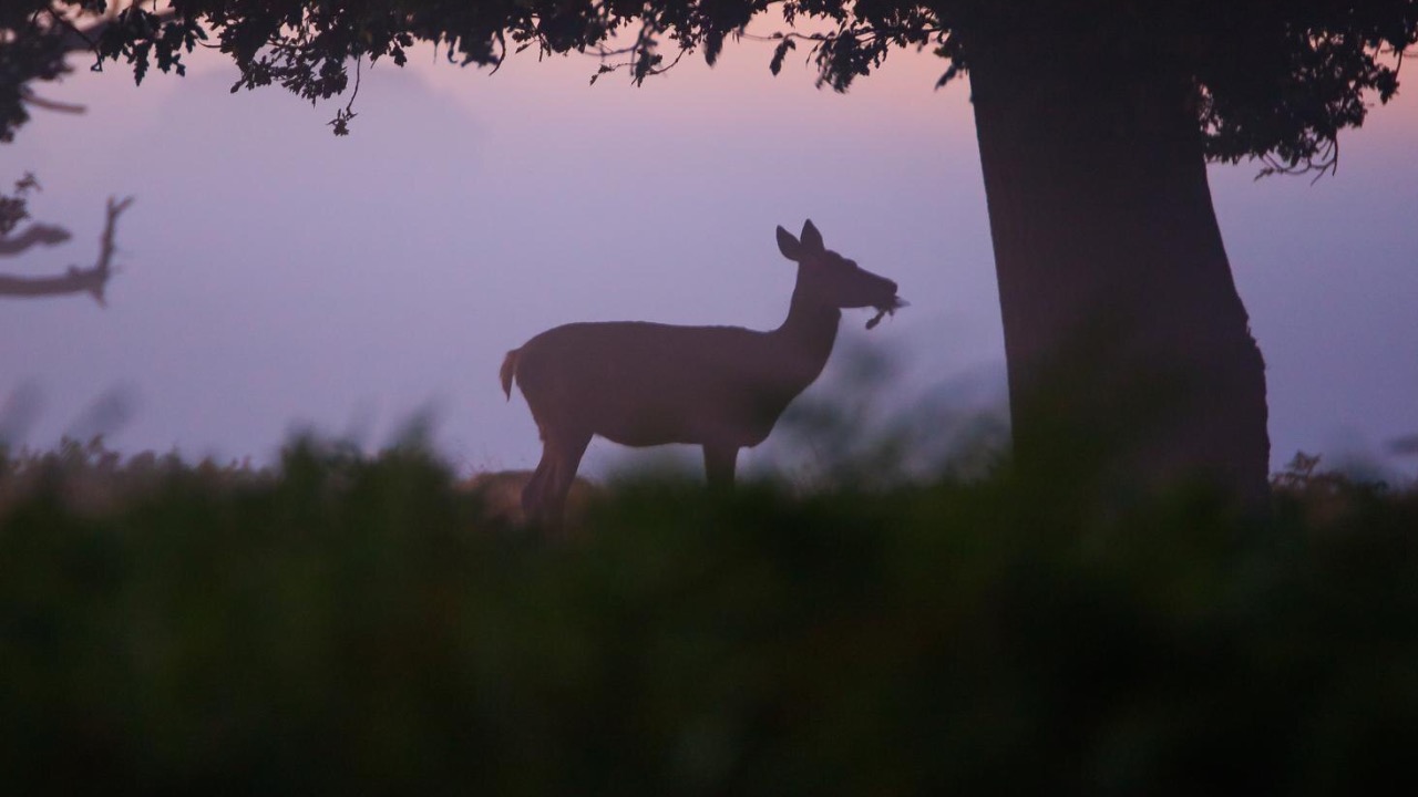 Image by Freepik