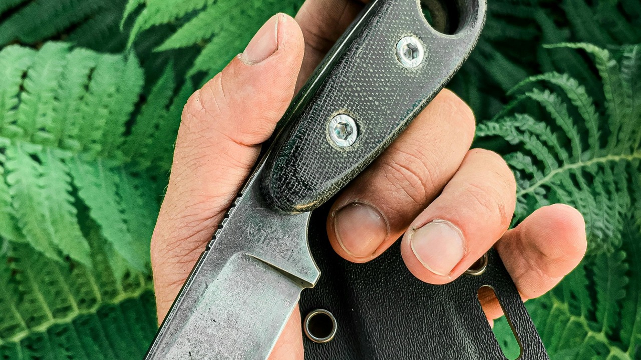 MYKOLA OSMACHKO/Pexels