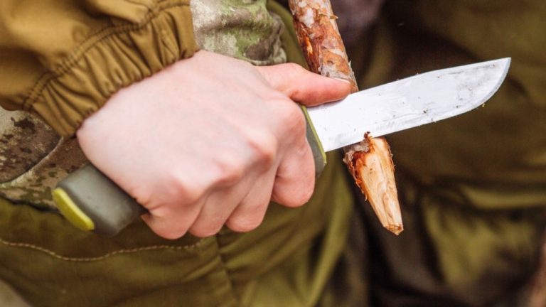 PRESSLAB/Shutterstock.com