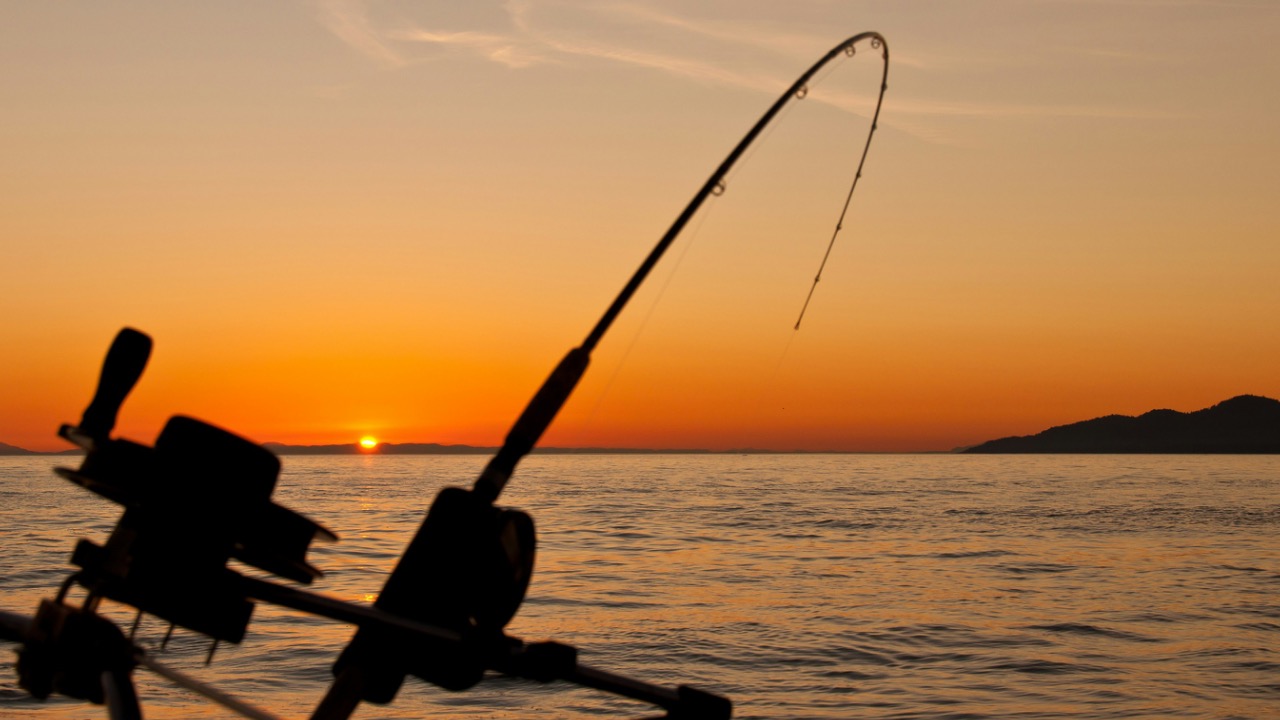 souvenirpixels/Unsplash