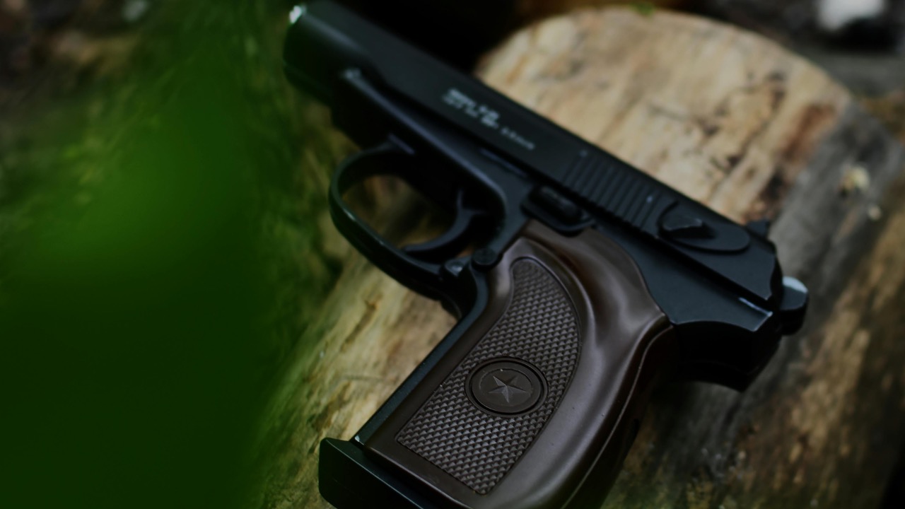 Darya Grey_Owl/Pexels