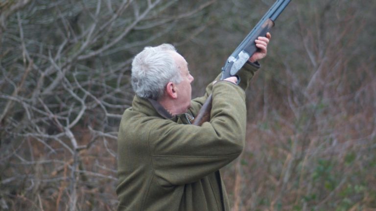 Morgan Marinoni/Pexels