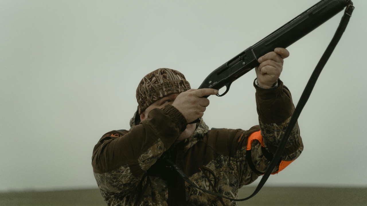 Tima Miroshnichenko/Pexels