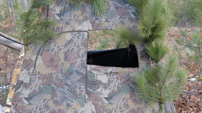 Image Credit: MJCdetroit - CC BY-SA 3.0/Wiki Commons