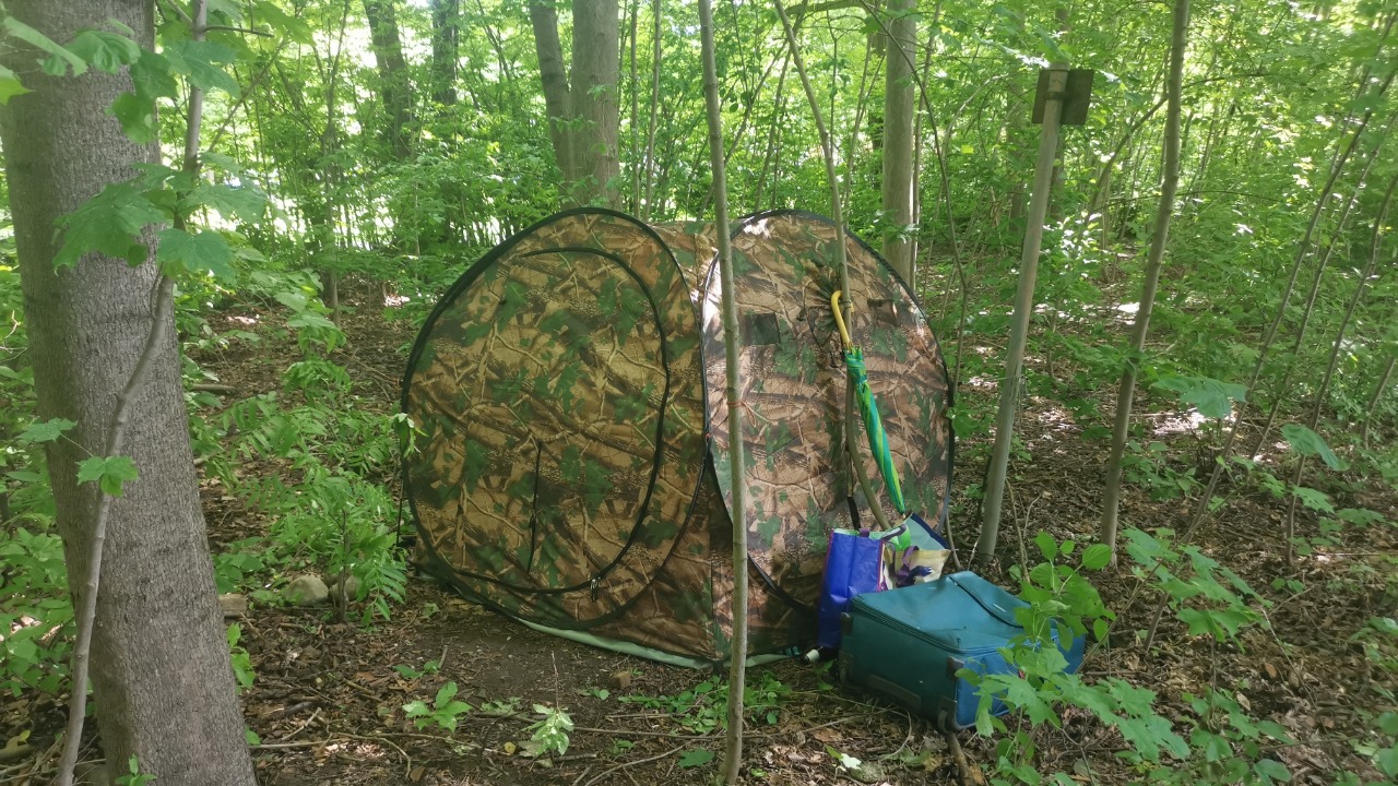 Image Credit: Wikitarisch - CC BY-SA 4.0/Wiki Commons