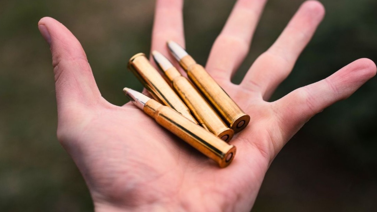 Tibor Duris/Shutterstock.com
