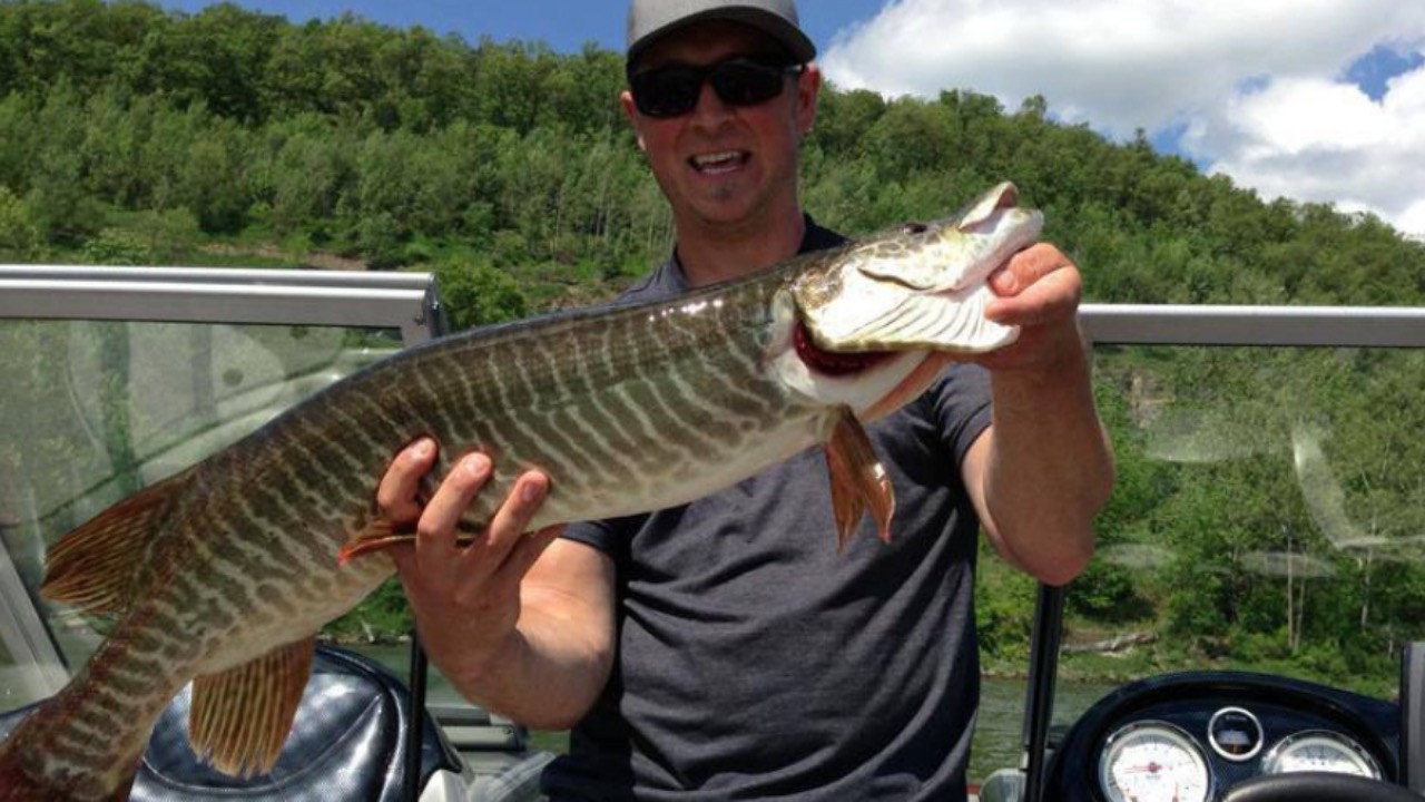 Image Credit: U.S. Army Corps of Engineers - Public domain/Wiki Commons