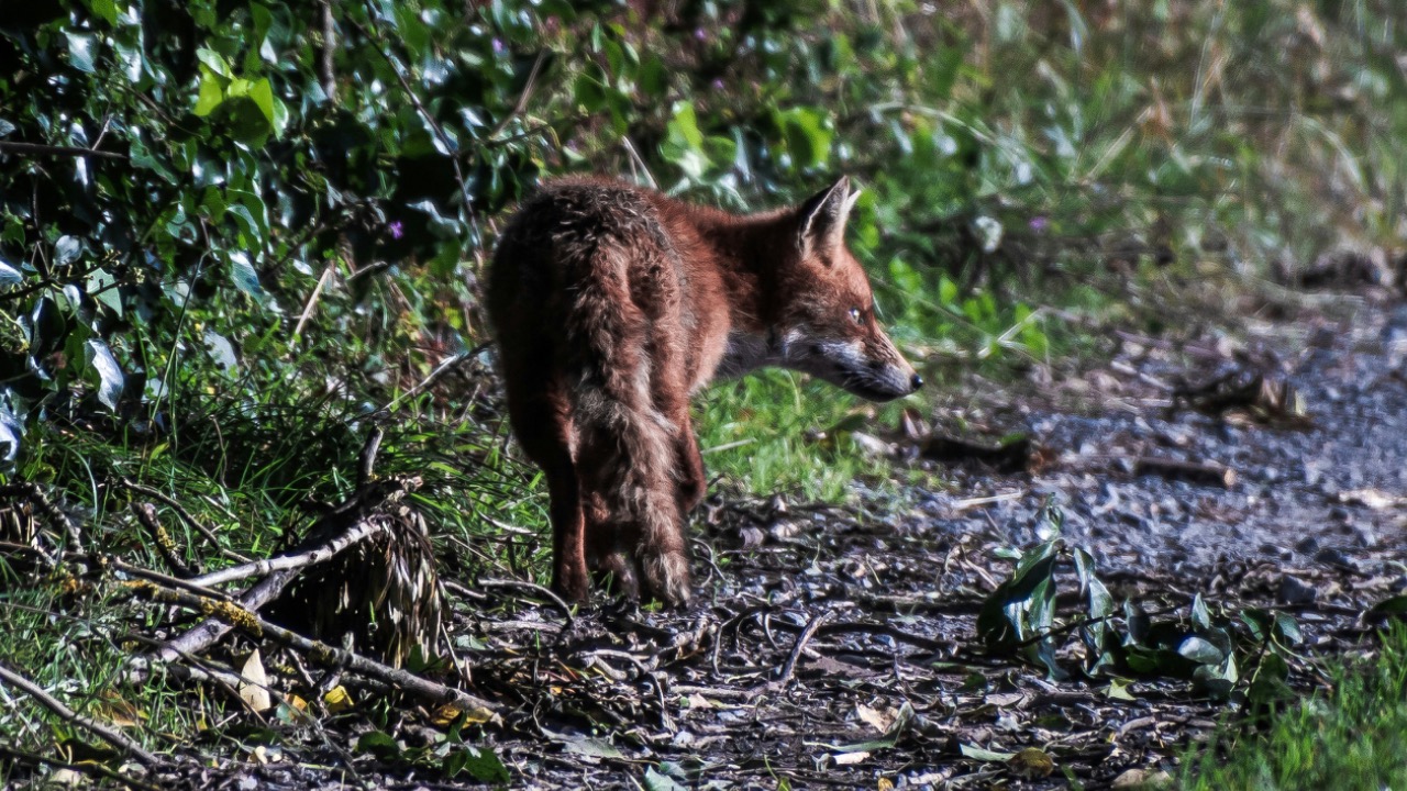 starkie_pics/Unsplash