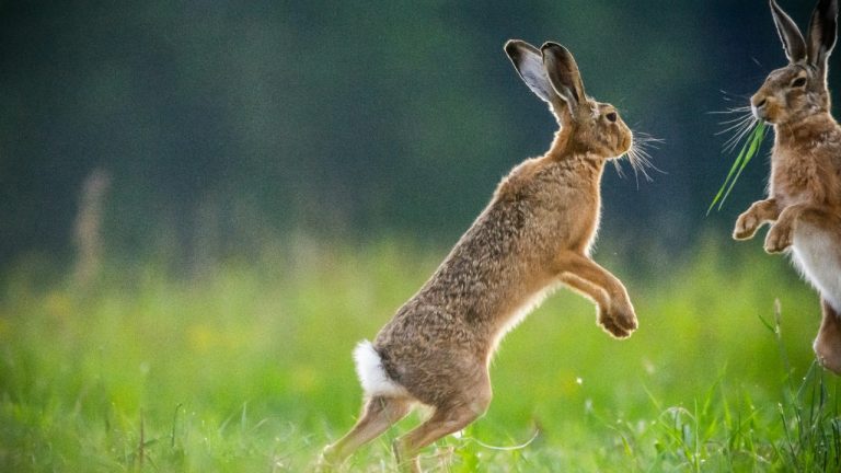 mathias_elle_photography/Unsplash