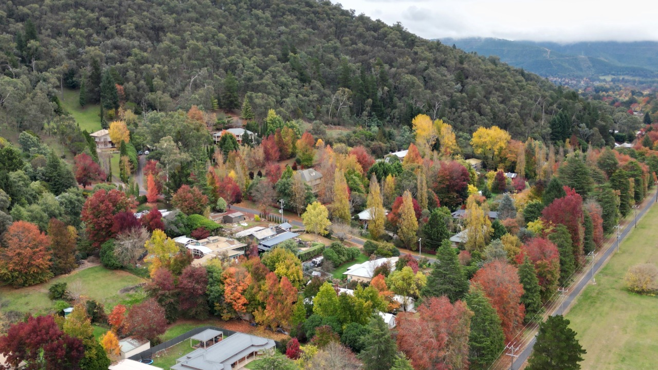 richard7seals/Unsplash